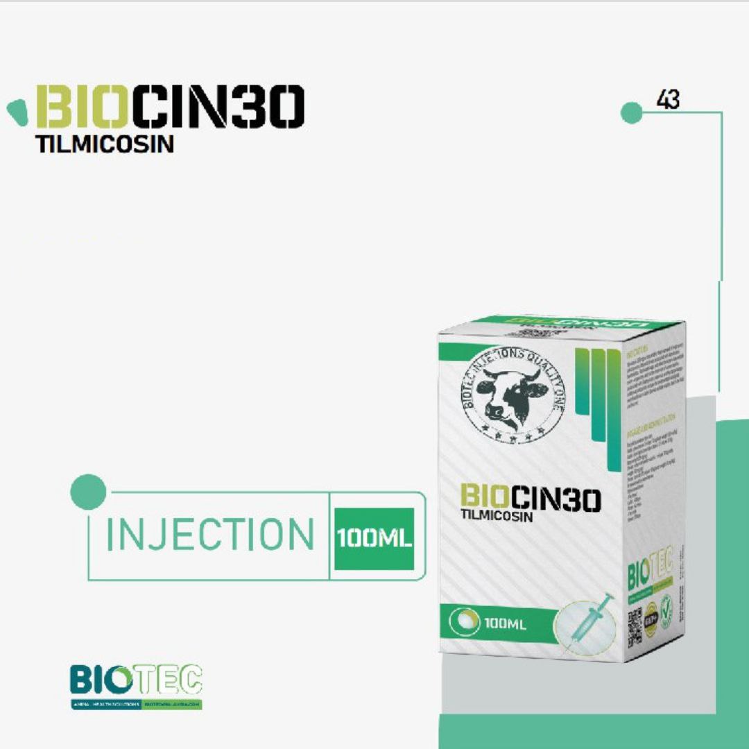 BIOCIN30 Tilmicosin 300 mg is indicated for the treatment of respiratory infections in cattle and sheep associated with