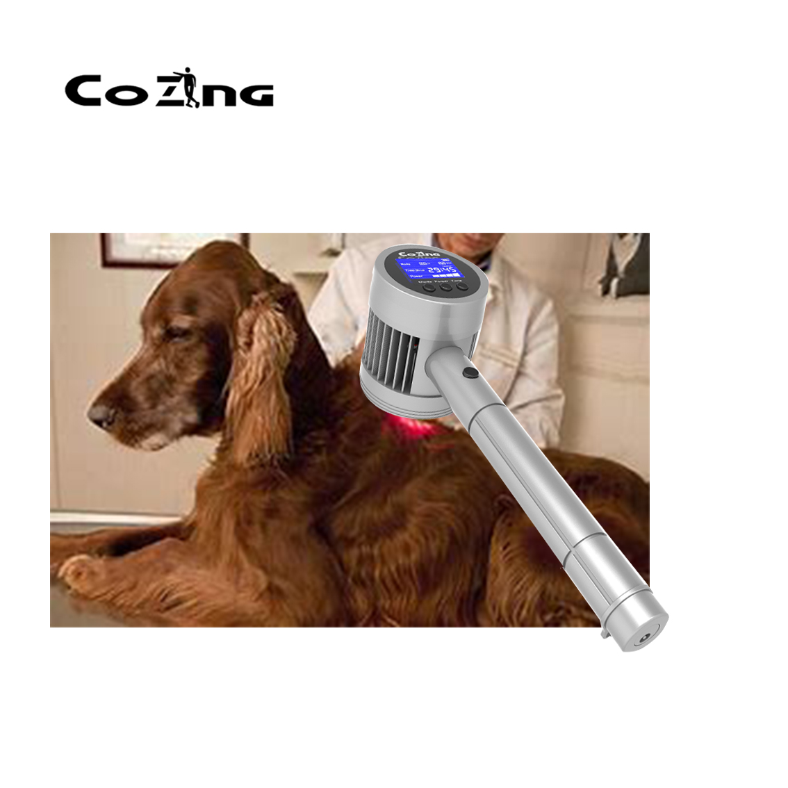 Veterinary Use Laser Therapy Device Wound Healing Animals Pain Relieve Machine