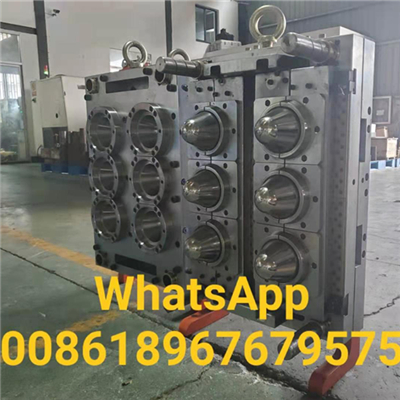 owell mould pet preform mould manufacturer