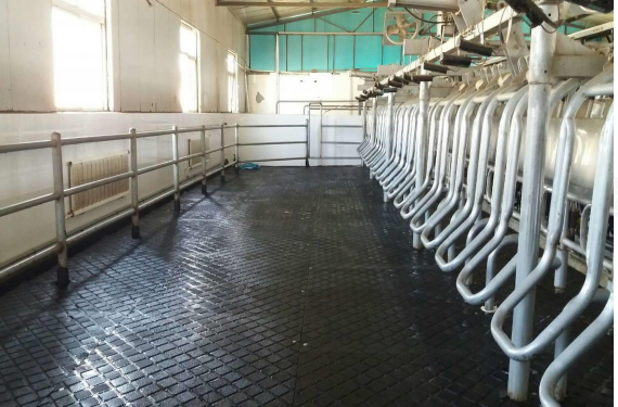 anti slip comfortable rubber cow mats for dairy farm