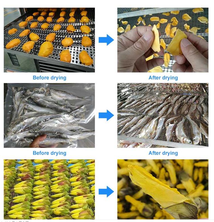 Stainless Steel Food Drying Kiln Great quality fish drying machine industrial microwave dryer kiln foods drying cabinet