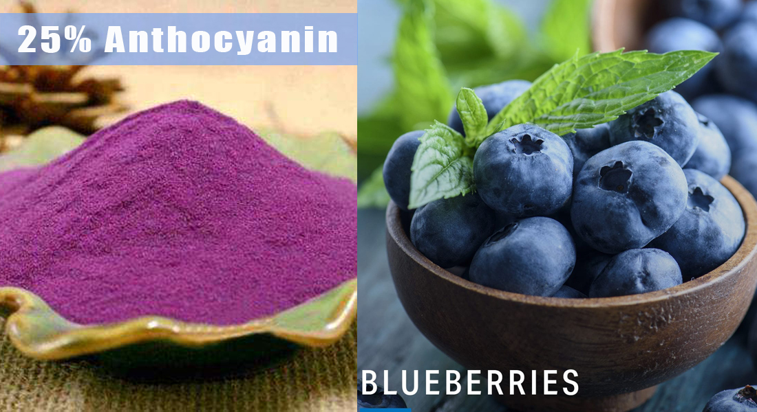 Bilberry 25 Anthocyanin blueberry extract