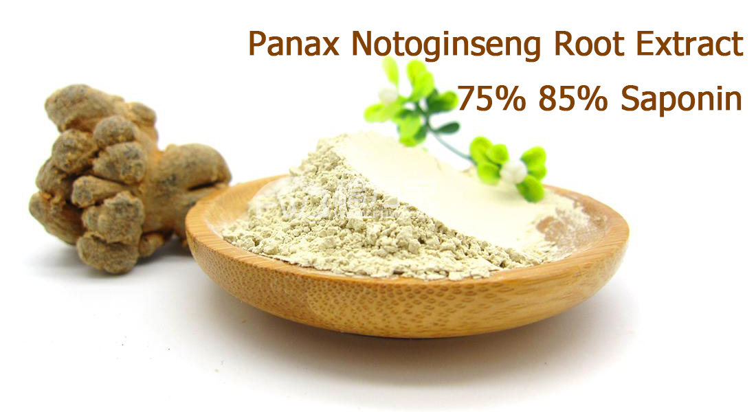 Panax notoginseng root extract 75 85 Saponin