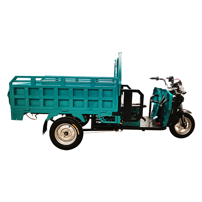 Electric Tricycle for Adults Cargo Transportation
