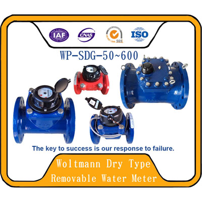 Woltmann Dry Type Removable Water Meter