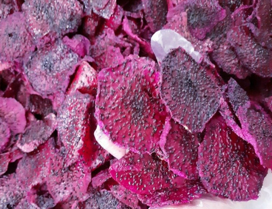 DRIED SOFT DRAGON FRUIT FOR INTERNATIONAL MARKET