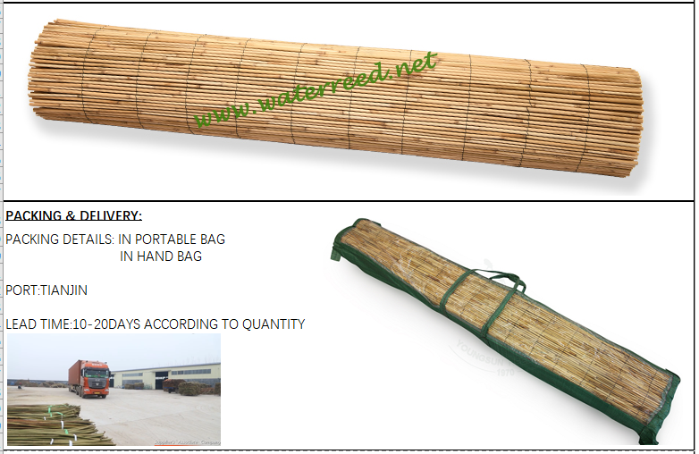 Natural reed fence for garden decoration