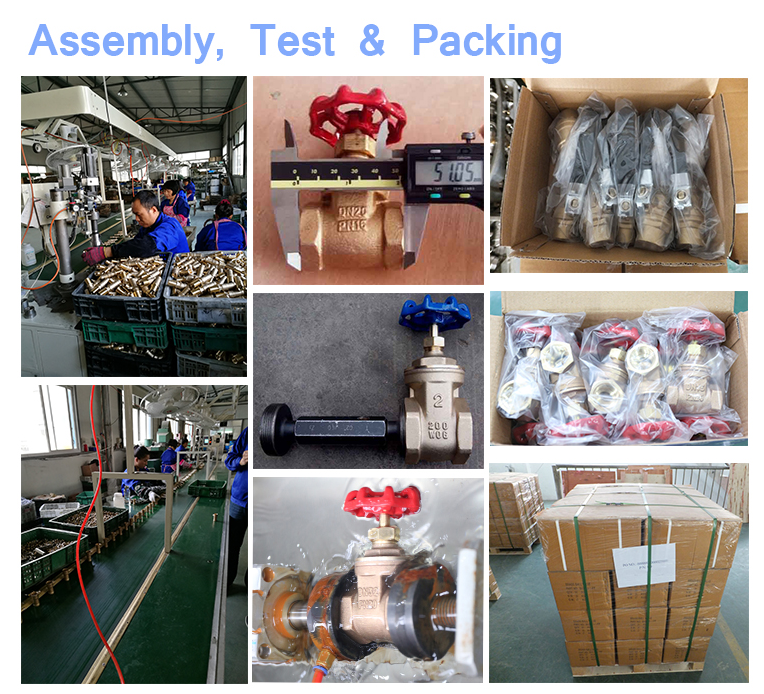 T Type L Type NPT Brass 3 Way Ball Valve
