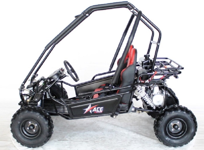 Hot New Model 125cc Go Kart Automatic with Reverse