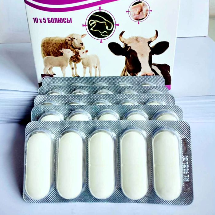 cattle use albendazole bolus albendazole tablet 300mg 600mg 2500mg