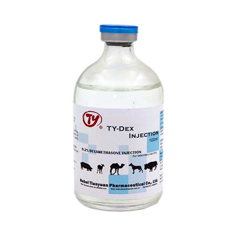 veterinary medicine Dexamethasone 02 Injection with gmp
