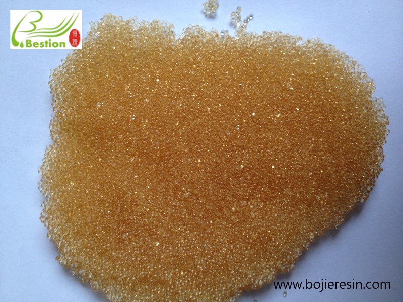 Extraction of Total Glycosides from Cortex Moutan by Macroporous Adsorption Resin