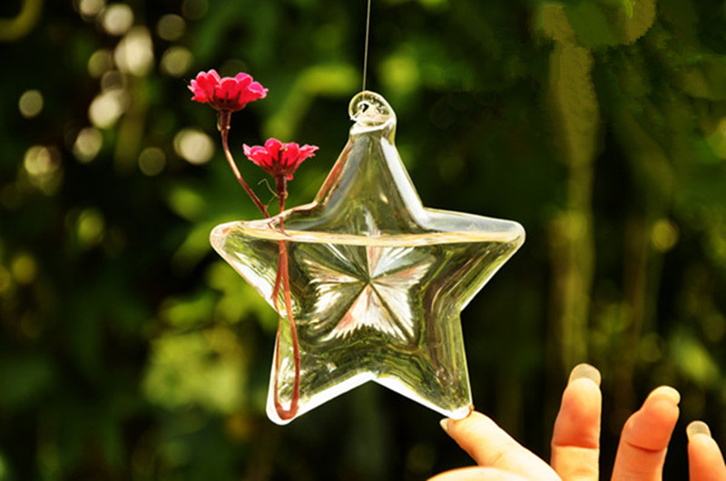 Star Shaped Glass Terrarium Vase Top Popular Creative Hanging Waterplant Bottle Home Decorative Friend Gift