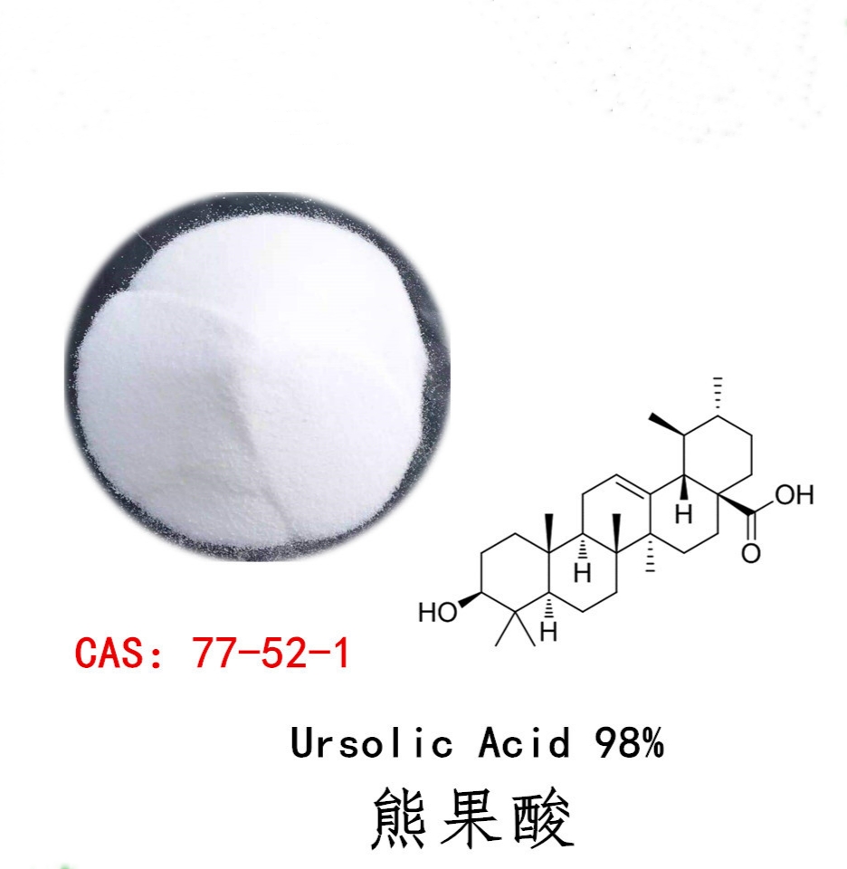 Ursolic acid 50Rosemary bay leaf extracts