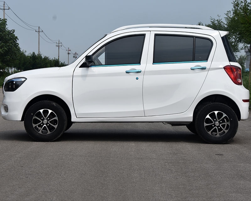 New Energy and new elongated electric vehicle
