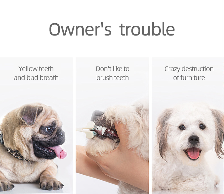 Toothbrush Dog Dog Wholesale Plush Toothbrush Chew Training Pet Dog Cat Squeaky Sound Bone Toys Uk