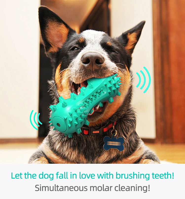 Toothbrush Dog Dog Wholesale Plush Toothbrush Chew Training Pet Dog Cat Squeaky Sound Bone Toys Uk