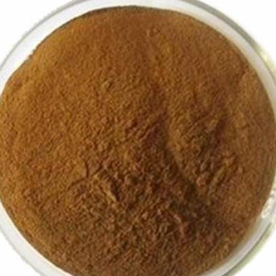 Anti Inflammatory Honeysuckle Flower Extract 5 Chlorogenic Acid Lonicera Japo
