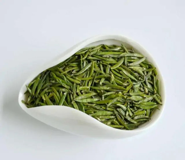 Wild Needle King wild tea variety discovered by Professor Zhu Xianming