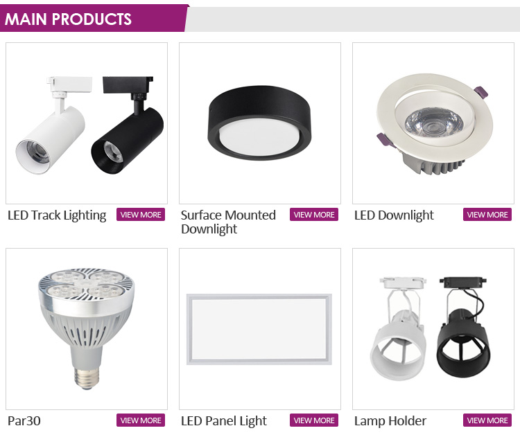 2021 new product thickness 10w cob LED ceiling down light LED lighting