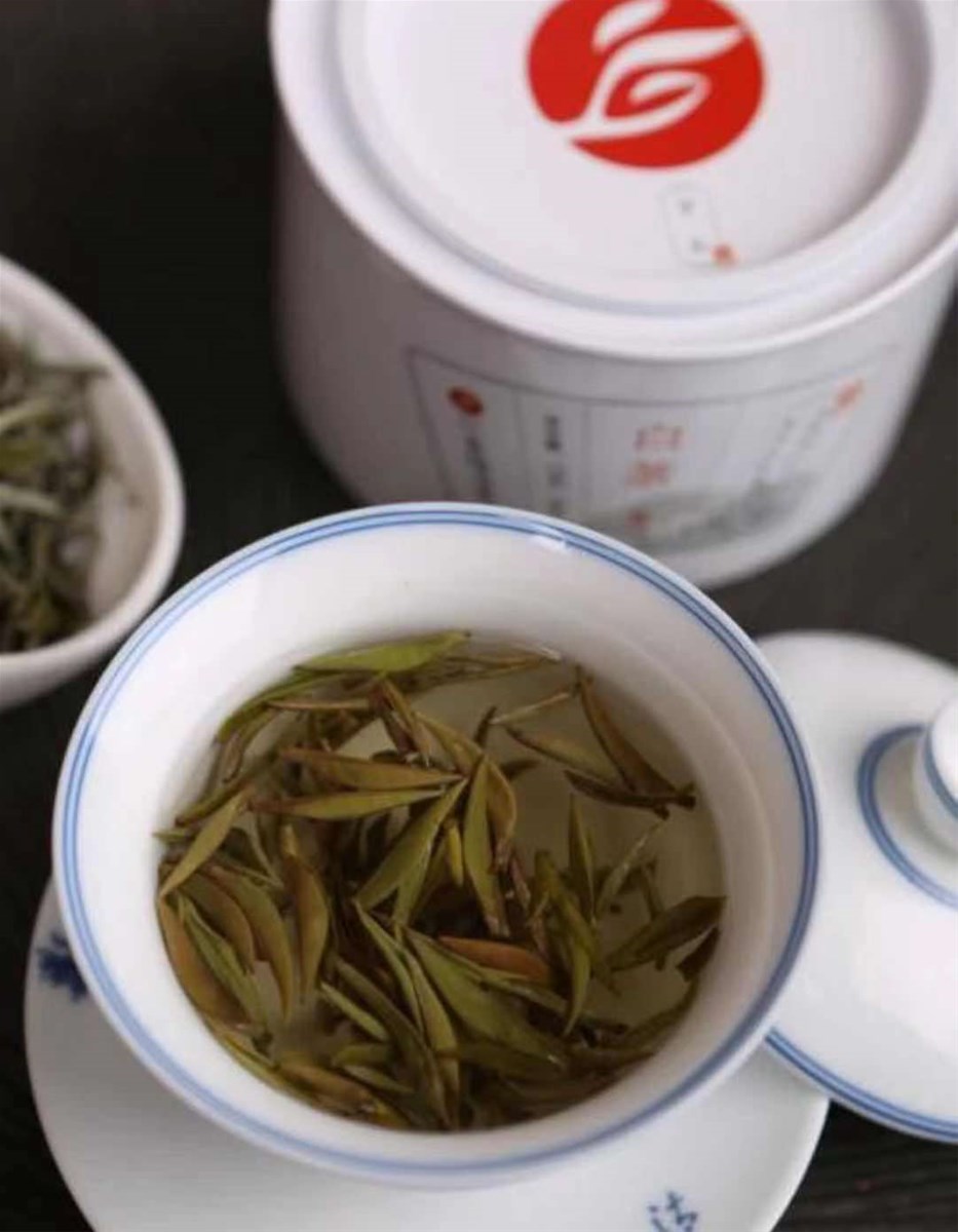 sangzhi White tea china hunan zhangjiajie