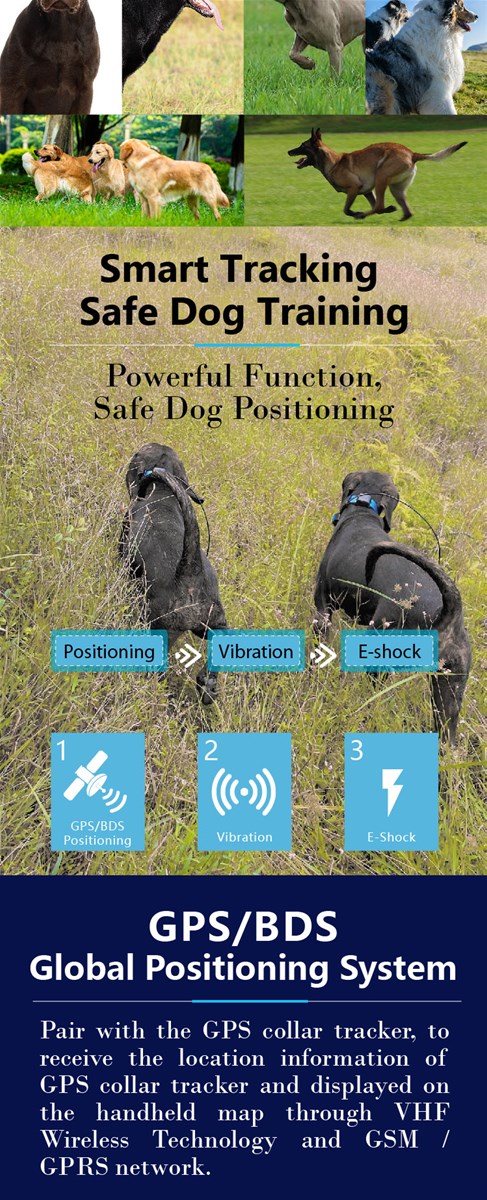 Hot in 2021 GPS hound tracker Support OEMODM the best GPS dog tracking collar