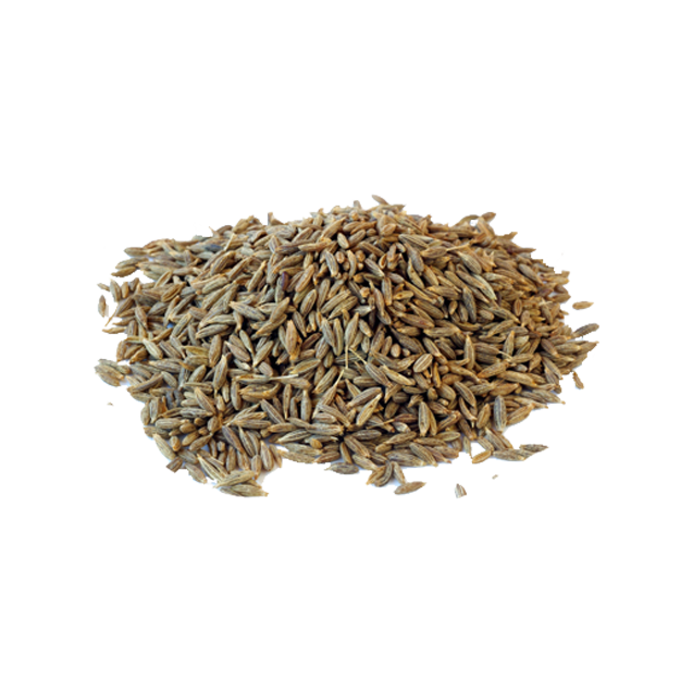 Supreme Quality Cumin Seeds Singapore99 Europe Quality