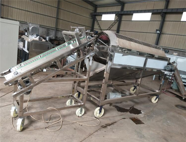 cocoa pod splitting machine cocoa beans shelling machine