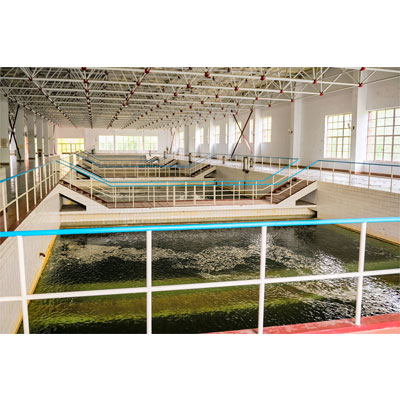 Waste Water Treatment Pump sewage pump factory