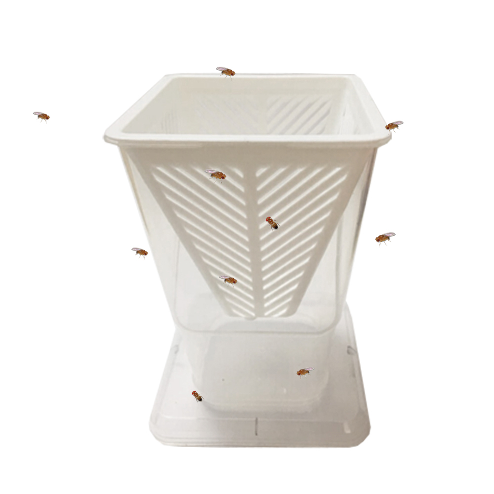 Reusable Plastic Fruit Fly Live Catch Trap Insects Bug Cather