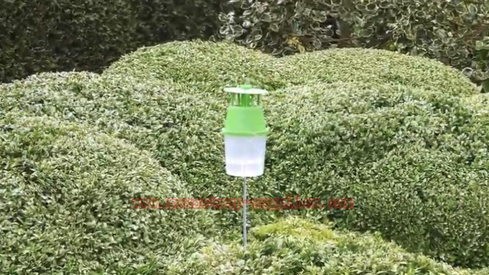 Outdoor Reusable Wasp Hanging Bucket Catcher Pheromone Moth Trap