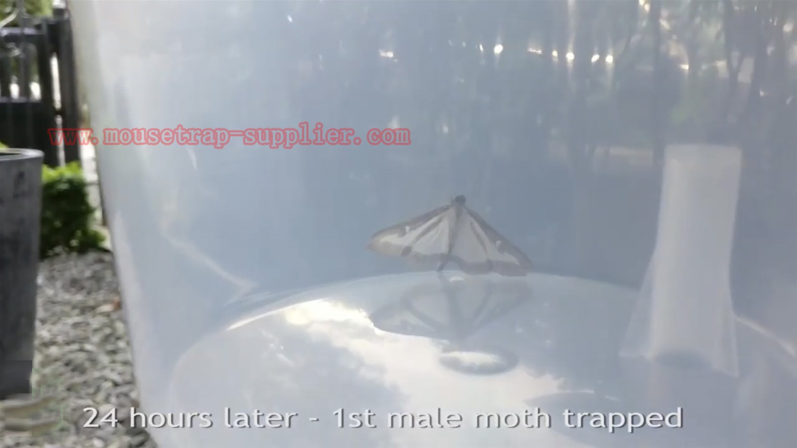 Outdoor Reusable Wasp Hanging Bucket Catcher Pheromone Moth Trap