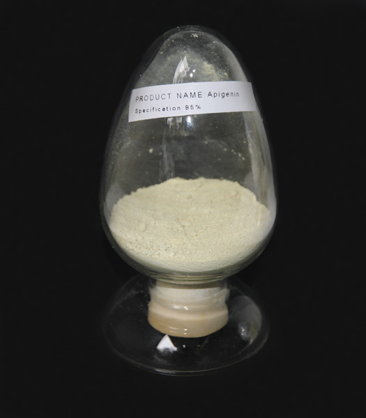 Apigenin CAS No 520365 natural extracts