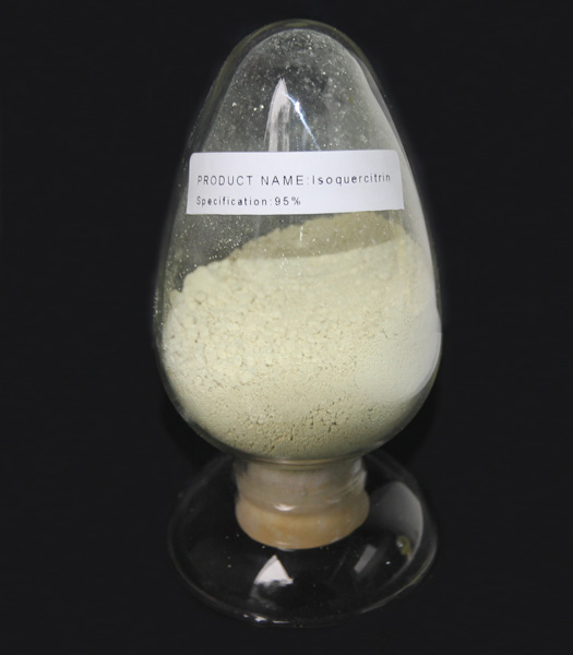 Isoquercitrin CAS NO482359 plant extract