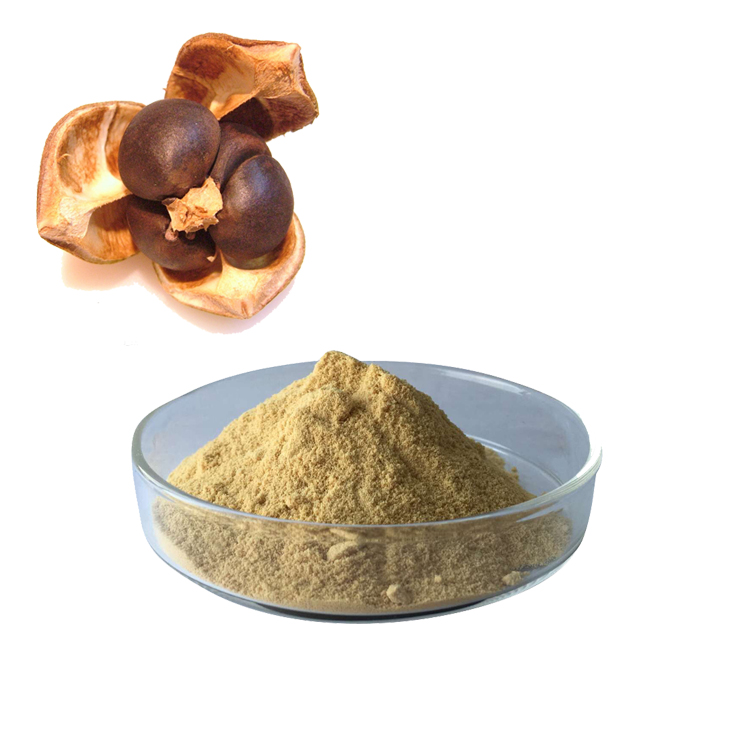 saponin 75 plant supplements pesticide use tea saponin saponin 75 plant supplements pesticide use tea saponin