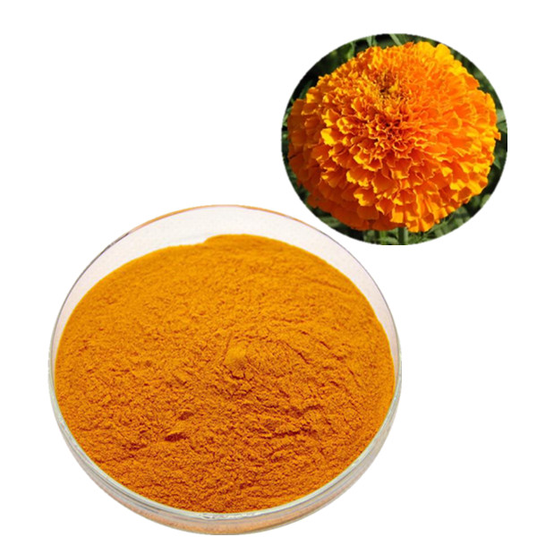 marigold extract Lutein 10 20 40 plant extract eye supplement