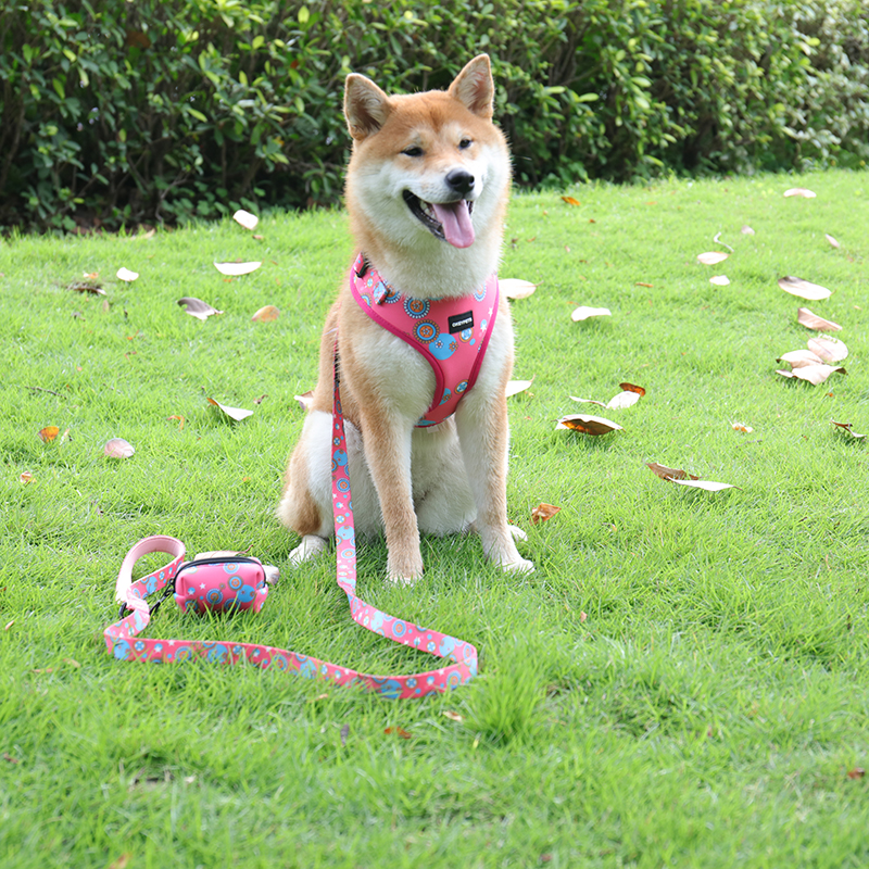 OKEYPETS Suppliers 6 in 1 Pet Accessories Customized Pattern Adjustable Dog Collar Matching Dog Leash and Harness for Wh