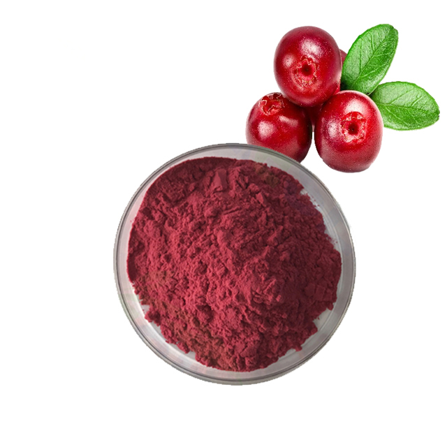 Vaccinum Macrocarpon L cranberry extract powder 5 1025 proanthocyanidins anthocyanins