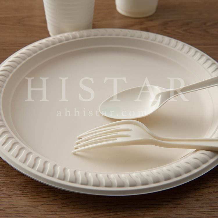 Disposable Corn Starch Biodegradable Dessert Tray