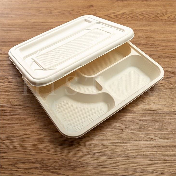 Disposable bagasse 5 compartment tray biodegradable bagasse food tray with lid