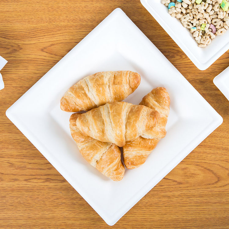 Wholesale disposable bagasse food platess environmentally friendly biodegradable square plate