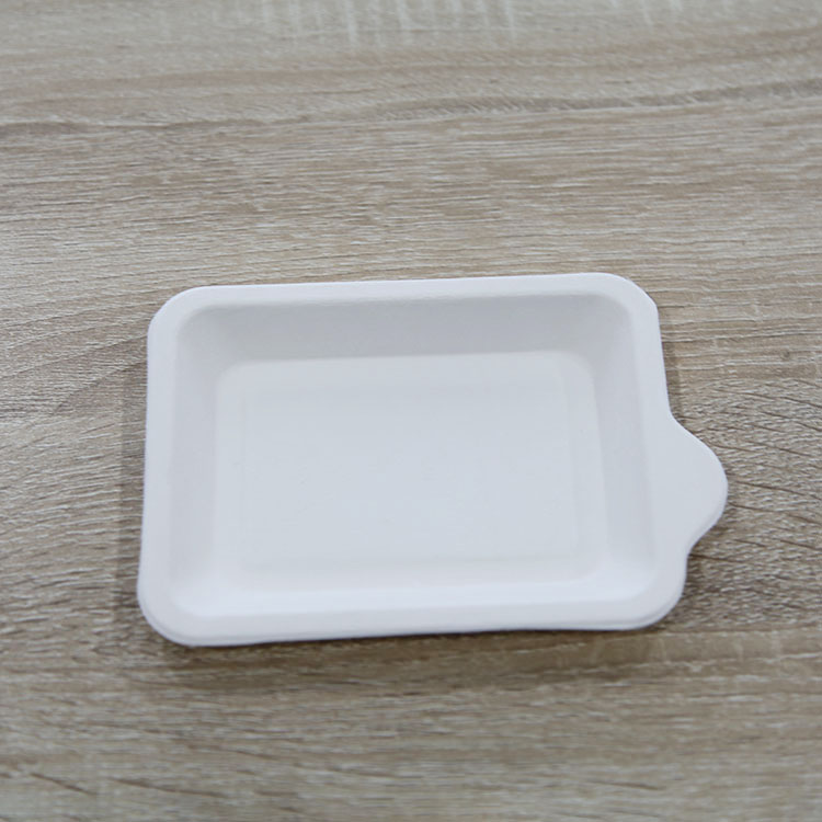 Bagasse biodegradable rectangular food tray fruit dessert tray