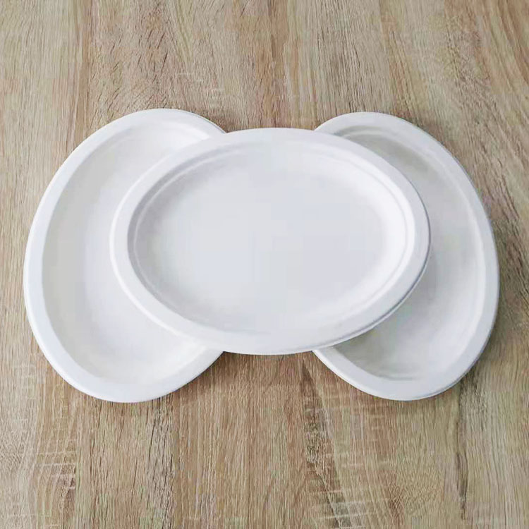 Biodegradable bagasse disposable food plate dessert fruit plate