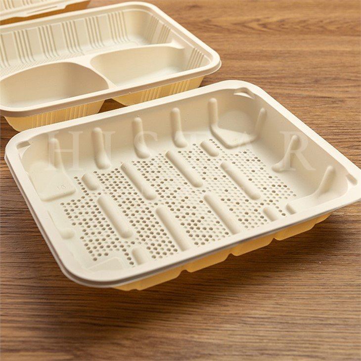 Cornstarch biodegradable disposable fruit tray