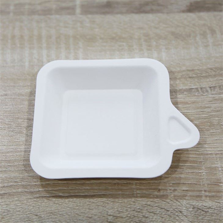 Disposable biodegradable food tray dessert fruit tray