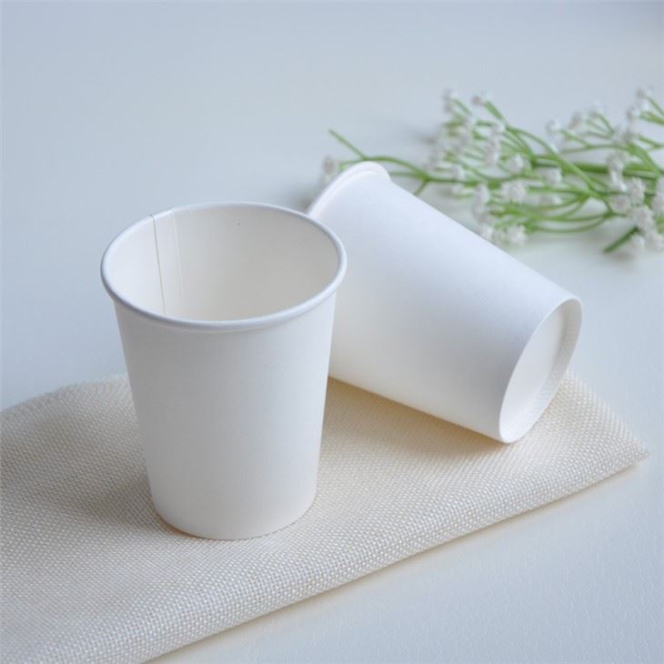 Disposable paper cup single wall white disposable beverage cup