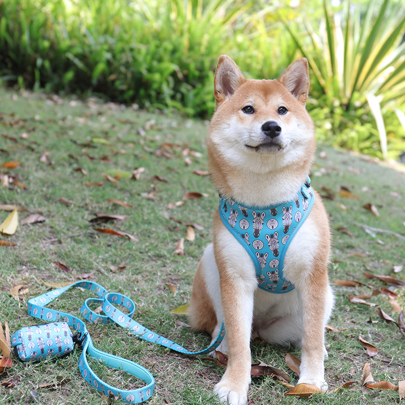 OKEYPETS Custom Logo Zebra Pattrens Neoprene Dog Collars Leash and Harness Set