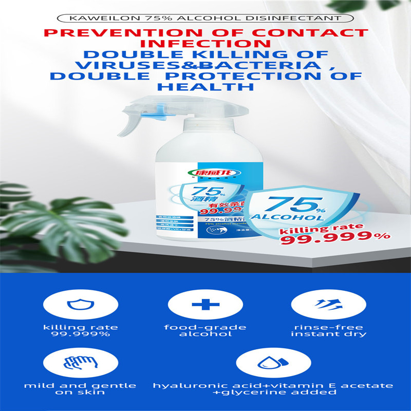 25LalcoholFree RinseFree Instant Dry Spray Hands Ge Sanitizer Disinfectant for Kids with CE Certificate
