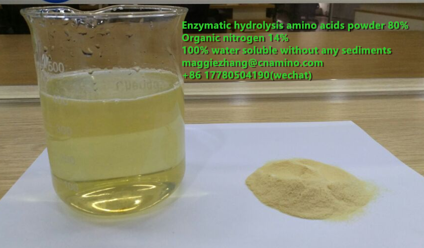 Enzymatic hydrolysis amino acids powder 80 Hydrolysate protein powder nitrogen 1400 OMRI listed amino acids powder80