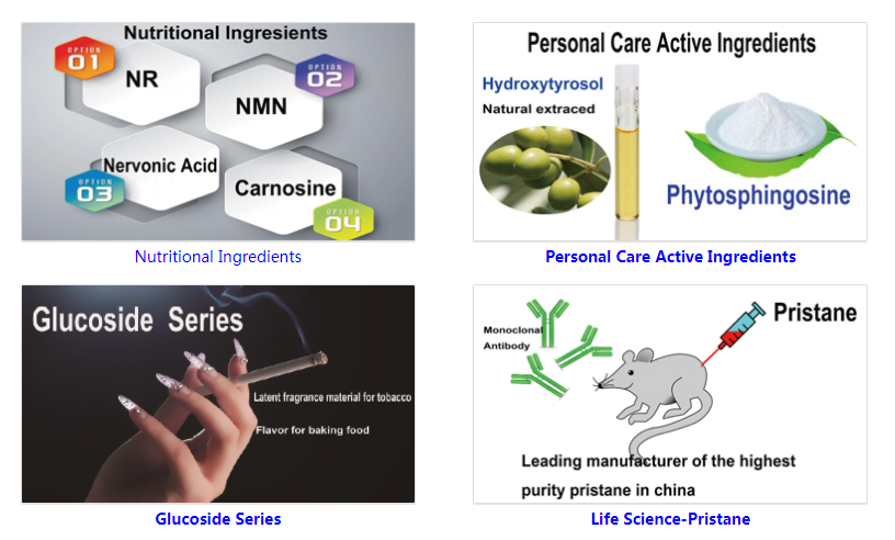 Carnosine Powder cas 305840 Health care LCarnosine powder